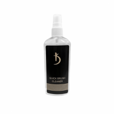 Quick Brush Cleaner Spray 150 ml