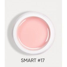 Dark Smart Gel №17 30 ml