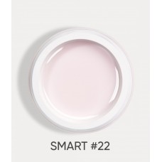 Dark Smart Gel №22 30 ml