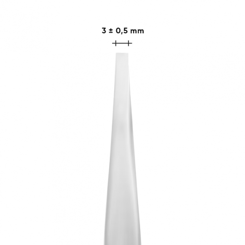 Eyebrow Tweezers STALEKS PRO EXPERT 10 TYPE 2 (narrow straight)